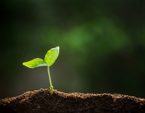 Environmental Litigation Image